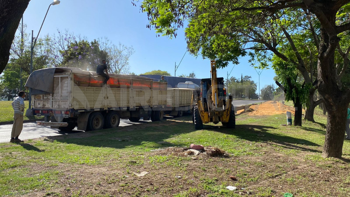 Este miércoles se llevaban a cabo tareas de limpieza en la Ex Mar Argentino.