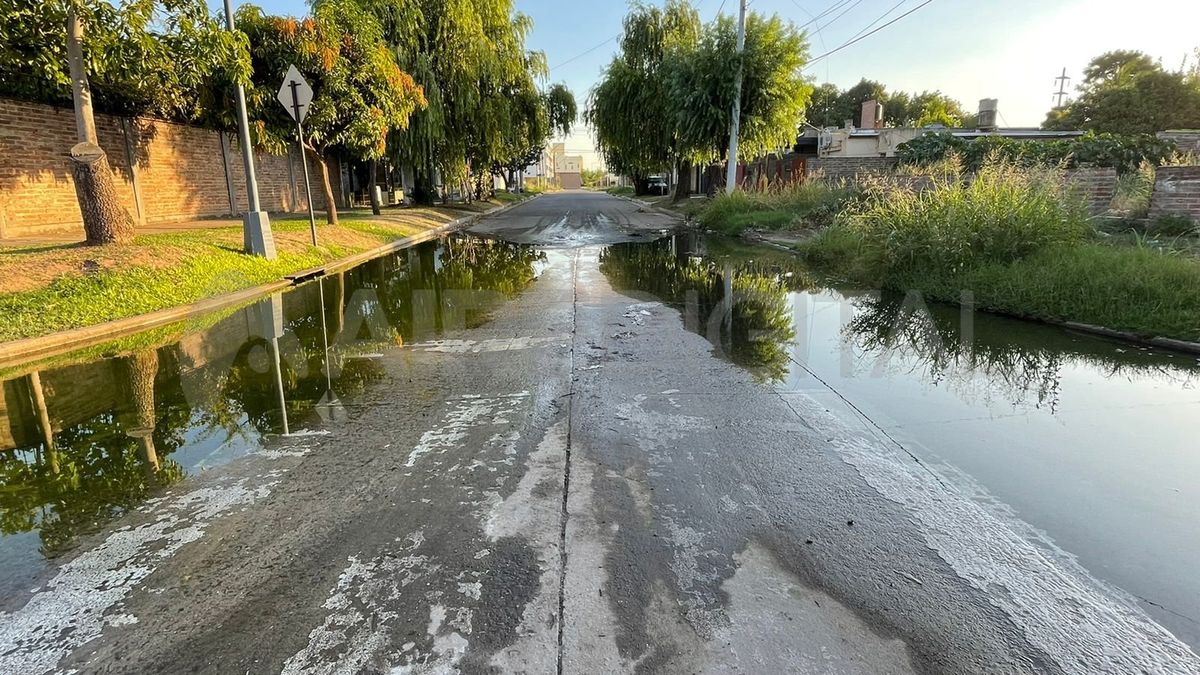 Desde hace tres semanas