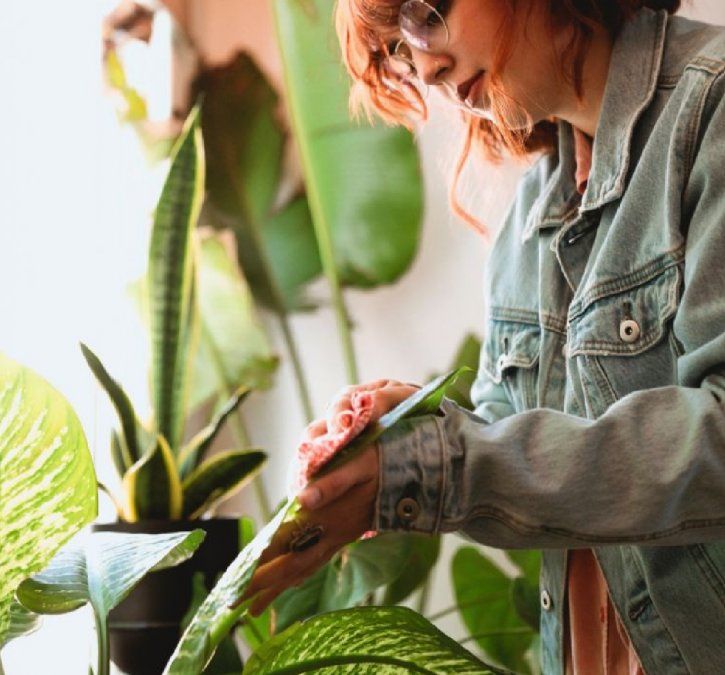 Hacé amigos amantes de las plantas