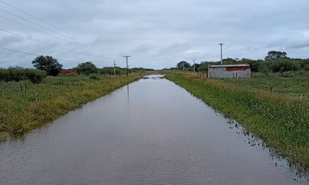 El escenario se originó tras las últimas lluvias, que superaron los 200 milímetros y provocaron anegamientos El escenario se originó tras las últimas lluvias, que superaron los 200 milímetros y provocaron anegamientos