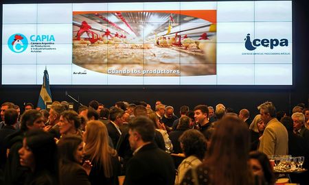 la avicultura celebro su dia con un consumo record, pero advirtio que necesita mas exportaciones e inversiones para seguir creciendo la avicultura celebro su dia con un consumo record, pero advirtio que necesita mas exportaciones e inversiones para seguir creciendo