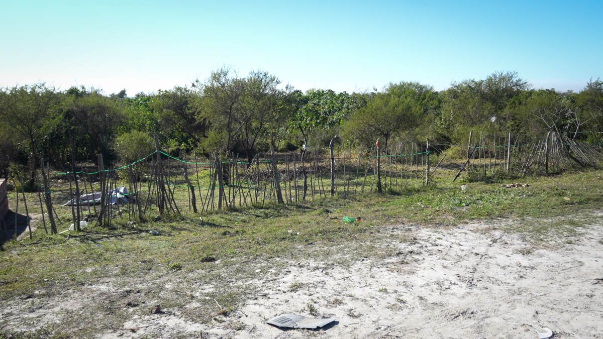 Sobre las defensas del este de Alto Verde, se observan loteos y construcciones sobre los terraplenes. Sobre las defensas del este de Alto Verde, se observan loteos y construcciones sobre los terraplenes.