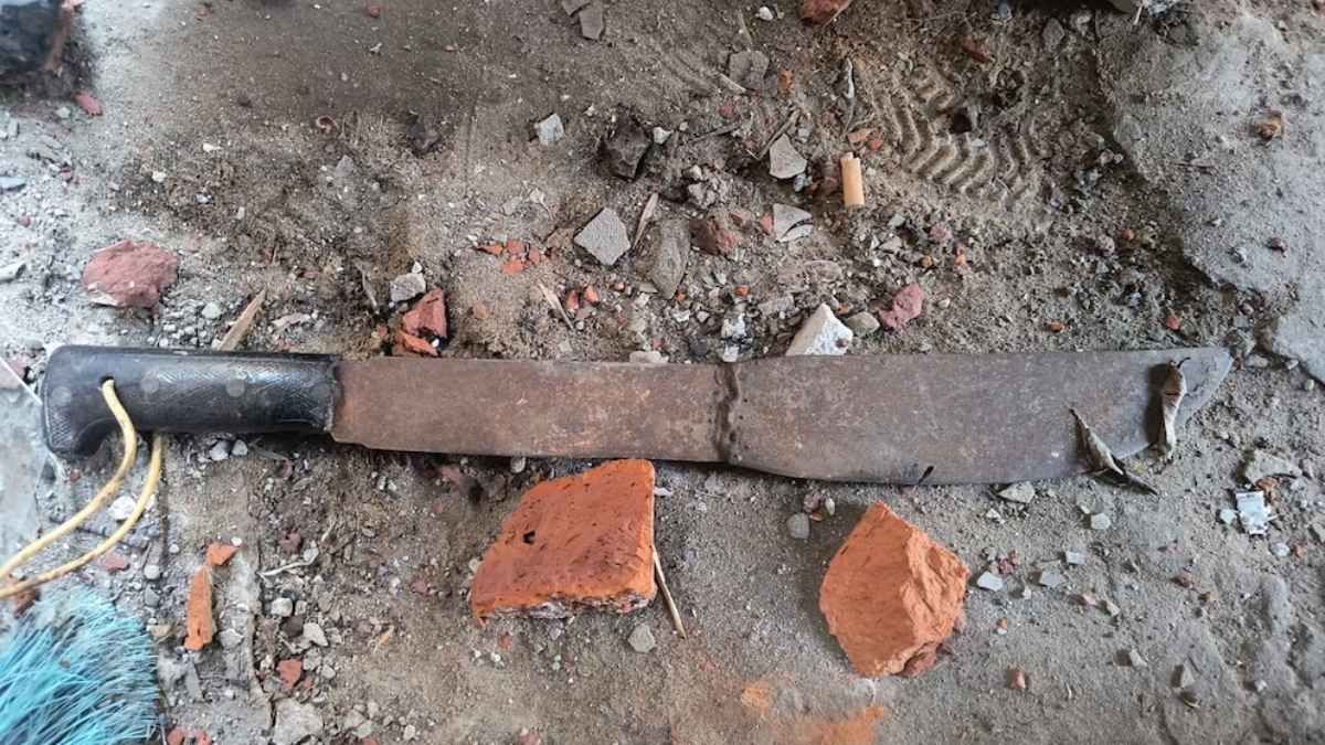 Horror en Villa Lugano: atacó a la mujer de su sobrino a machetazos en la cabeza