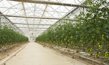 La Subsecretaría de Agricultura, Ganadería y Pesca será la autoridad de aplicación de este programa. La Subsecretaría de Agricultura, Ganadería y Pesca será la autoridad de aplicación de este programa.