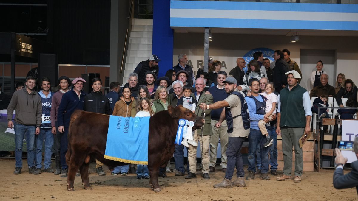 El Mejor Ternero Colorado fue de La Pastoriza, con su lote 549.