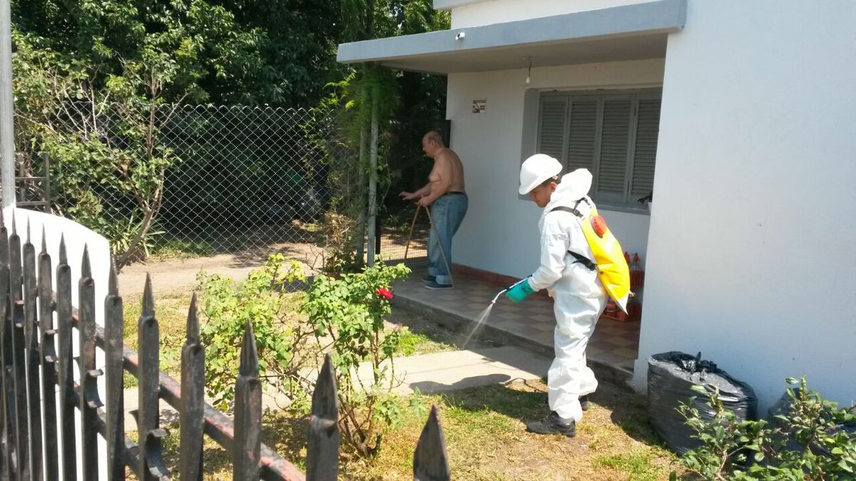 Se retoman las tareas de fumigación en la ciudad