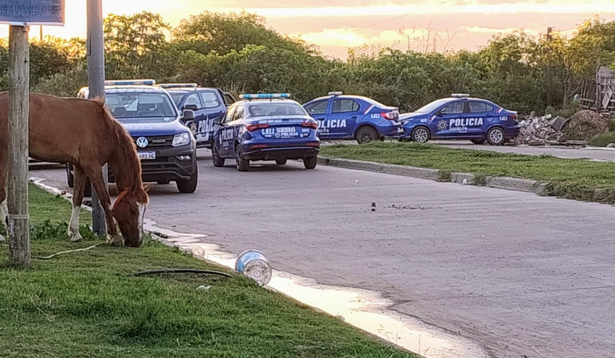 Fuerte presencia policial en el Order tras la balacera. Fuerte presencia policial en el Order tras la balacera.