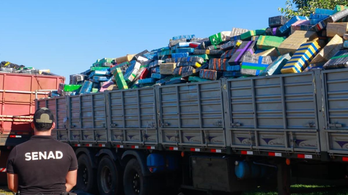 El operativo fue ejecutado durante la madrugada del miércoles pasado.