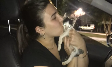 No encontraba a su gato y lo buscó por toda la casa: lo encontró en un lugar totalmente insólito No encontraba a su gato y lo buscó por toda la casa: lo encontró en un lugar totalmente insólito