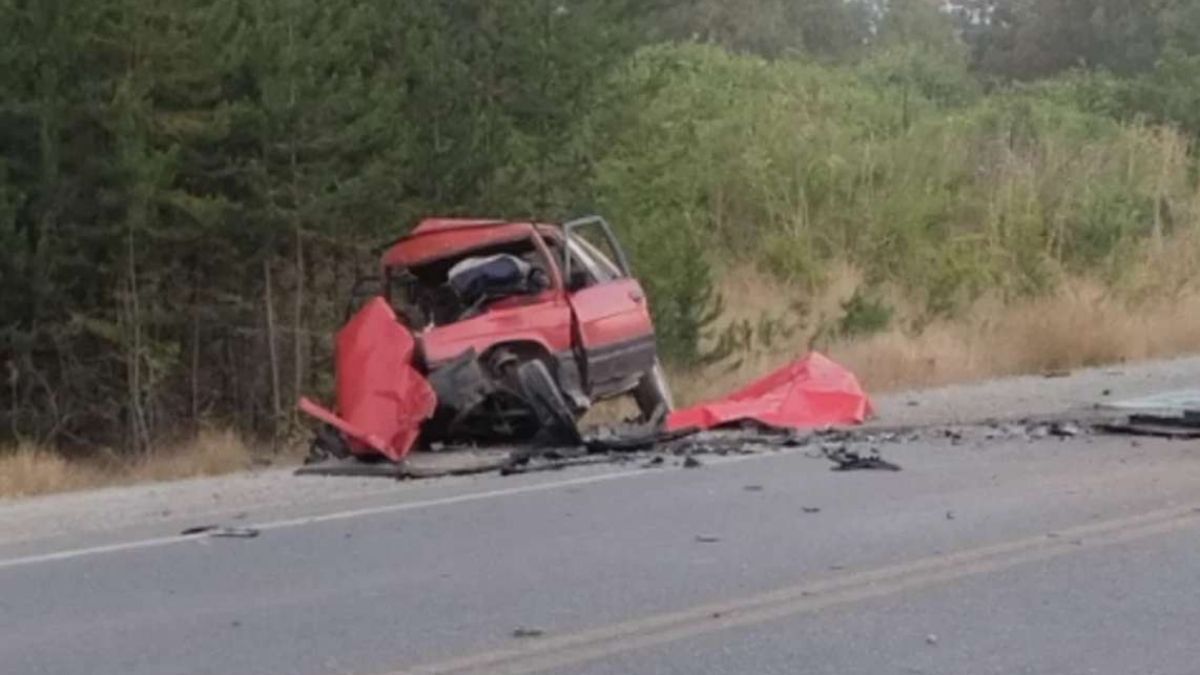 Un hombre murió tras protagonizar un choque frontal en Ruta Nacional 40.