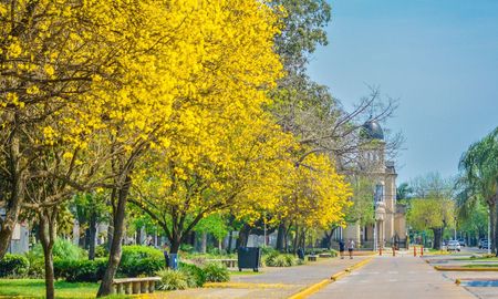 donde voto en reconquista: consulta el padron definitivo para las elecciones de 2025 donde voto en reconquista: consulta el padron definitivo para las elecciones de 2025