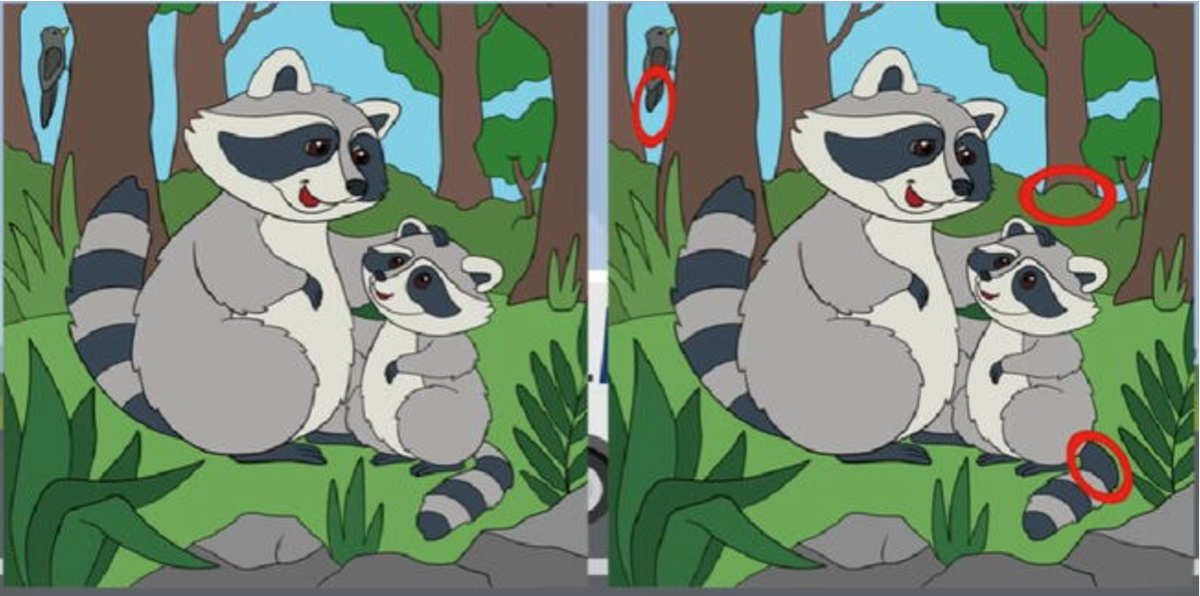 Solución del reto visual.