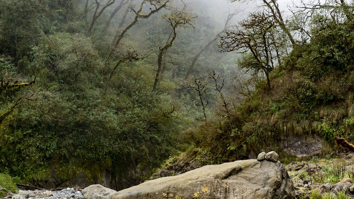 Parque Nacional Los Alisos