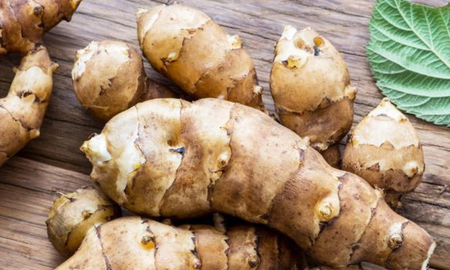 MasterChef: qué es el topinambur, el ingrediente estrella de la noche MasterChef: qué es el topinambur, el ingrediente estrella de la noche