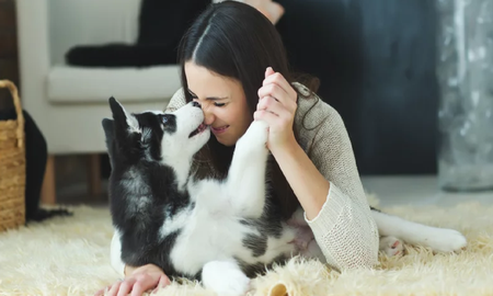 segun la ciencia hablar con los perros no es de locos sino de inteligentes segun la ciencia hablar con los perros no es de locos sino de inteligentes