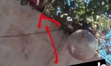 su vecino la espiaba mientras tomaba sol y lo escracho en las redes sociales su vecino la espiaba mientras tomaba sol y lo escracho en las redes sociales