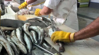Aire de Santa Fe | Pescado frigorífico.jpg