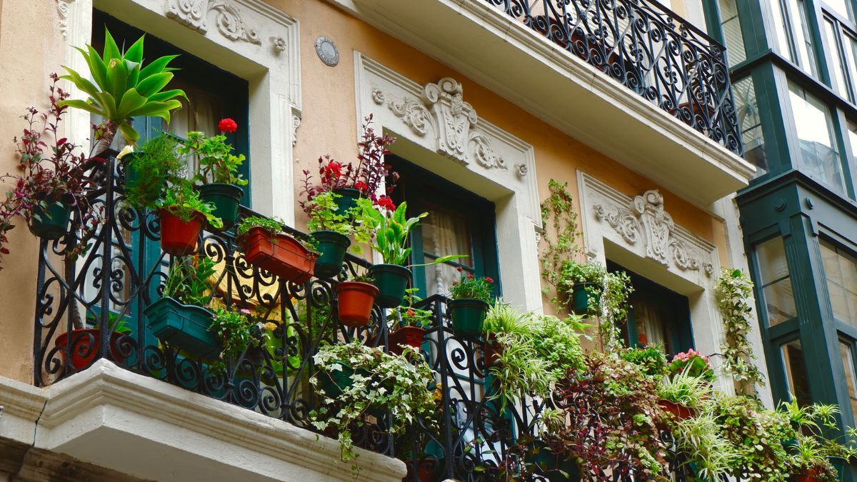 Llena tu balcón de vida y color durante todas las estaciones con estas plantas.