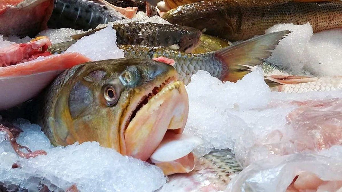 Diversos pescadores realizarán ventas de pescado de río en este fin de semana santa.