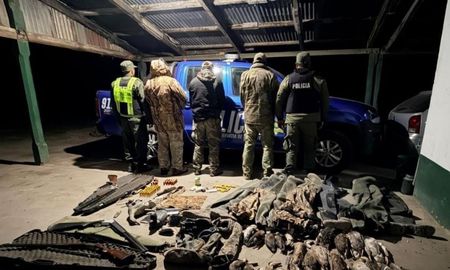 Efectivos de Los Pumas secuestraron tres escopetas y 24 patos silvestres en un procedimiento por caza ilegal en el norte de Santa Fe. Efectivos de Los Pumas secuestraron tres escopetas y 24 patos silvestres en un procedimiento por caza ilegal en el norte de Santa Fe.