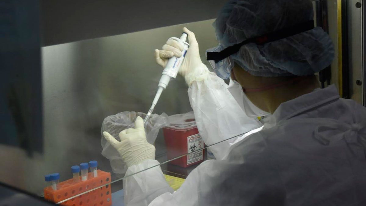 El Malbrán es el único instituto del país que elabora el suero antídoto para tratar casos de alacranismo.