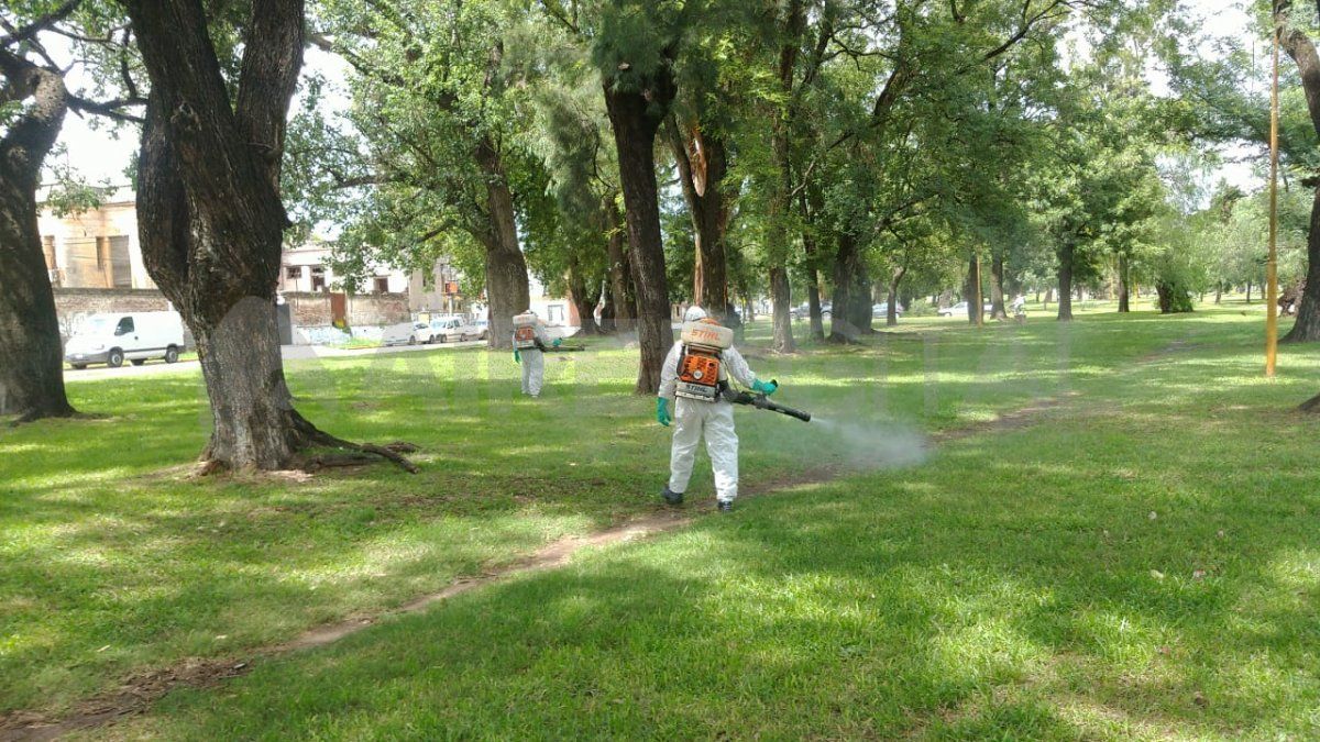 La Municipalidad de Santa Fe fumiga parques y paseos clave para controlar mosquitos.&nbsp;