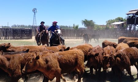 coronda recibe por primera vez las clasificatorias de paleteada y aparte campero rumbo a palermo coronda recibe por primera vez las clasificatorias de paleteada y aparte campero rumbo a palermo