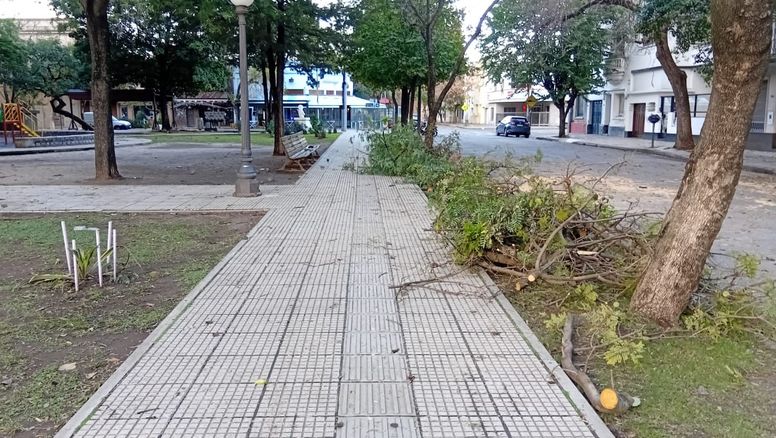 Árboles caídos, techos volados y postes rotos: el saldo de la tormenta en Santa Fe