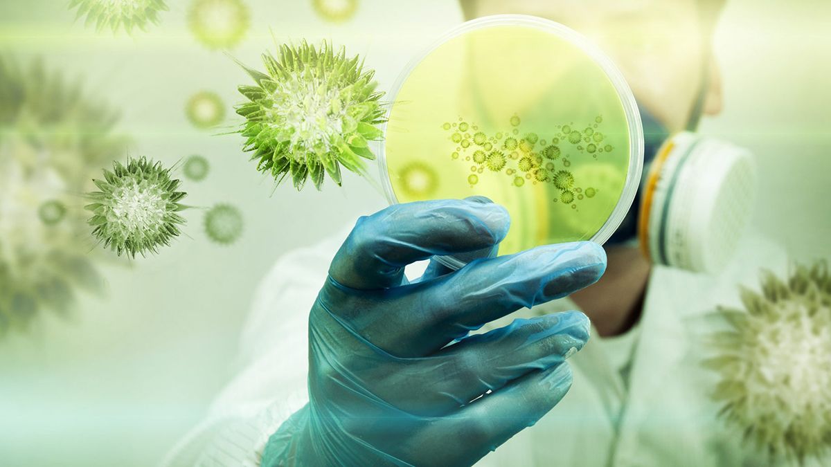 La variante fue bautizada P.1.2 por ser una mutaci&oacute;n de la P1, surgida en Manaos.