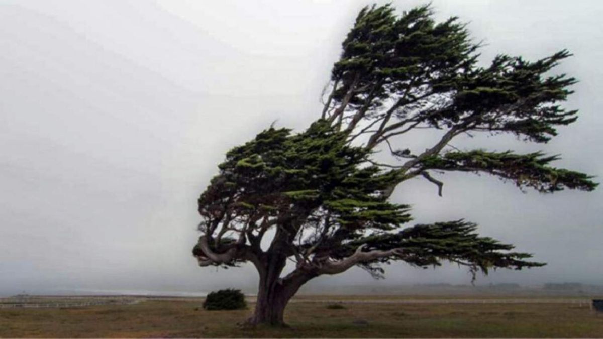 Se esperan ráfagas de más de 90 km/h en las mesetas de Corpen Aike