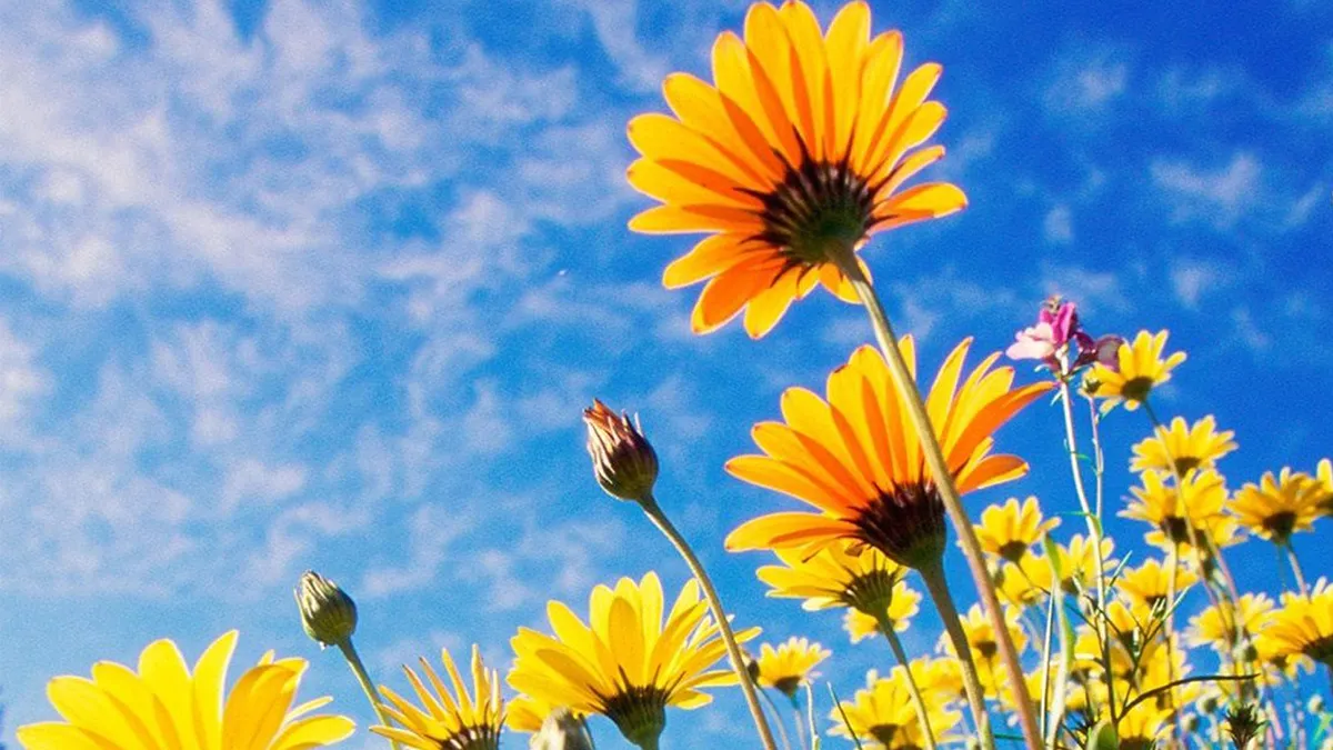 Equinoccio de primavera