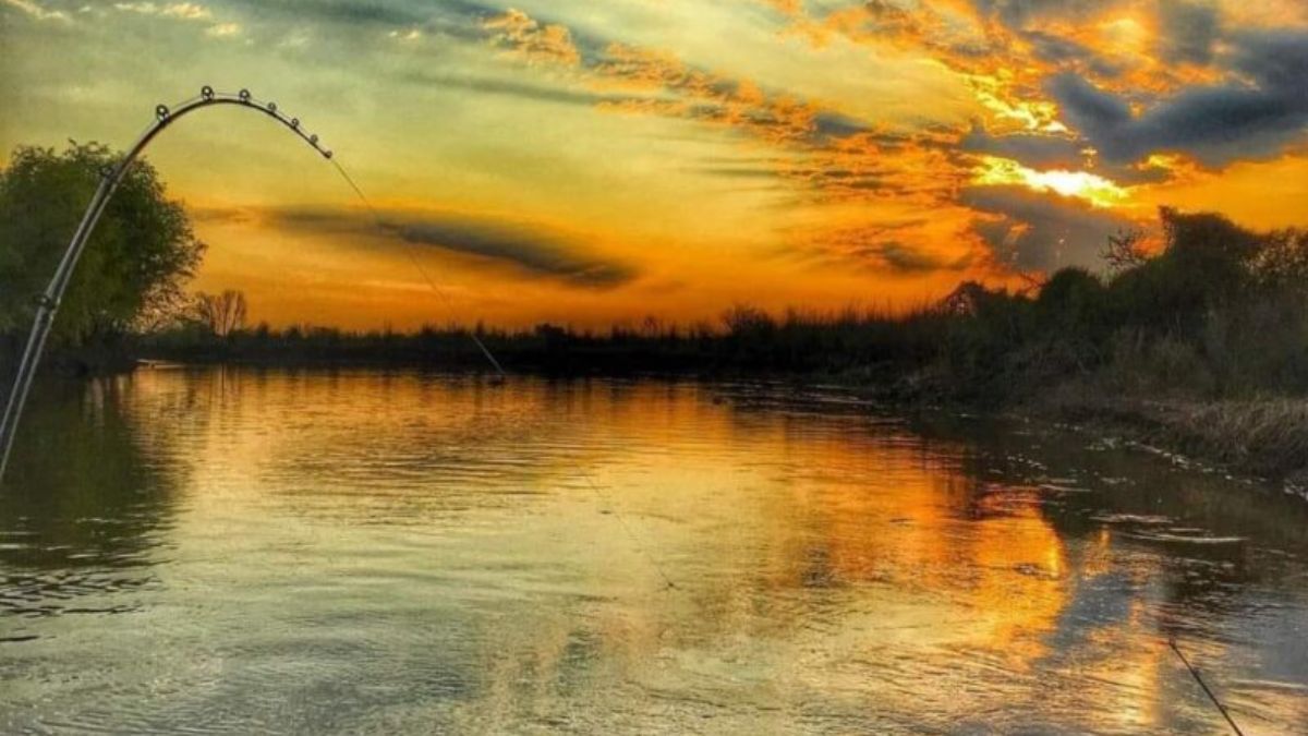 Las islas de Alejandra forman parte de un humedal biodiverso donde conviven cientos de especies de aves y mam&iacute;feros, siendo un punto estrat&eacute;gico para el avistaje de fauna y la fotograf&iacute;a de naturaleza.
