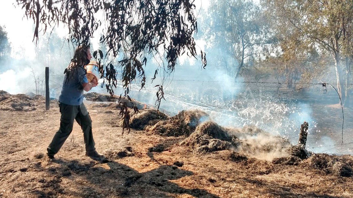 Con baldes y mangueras