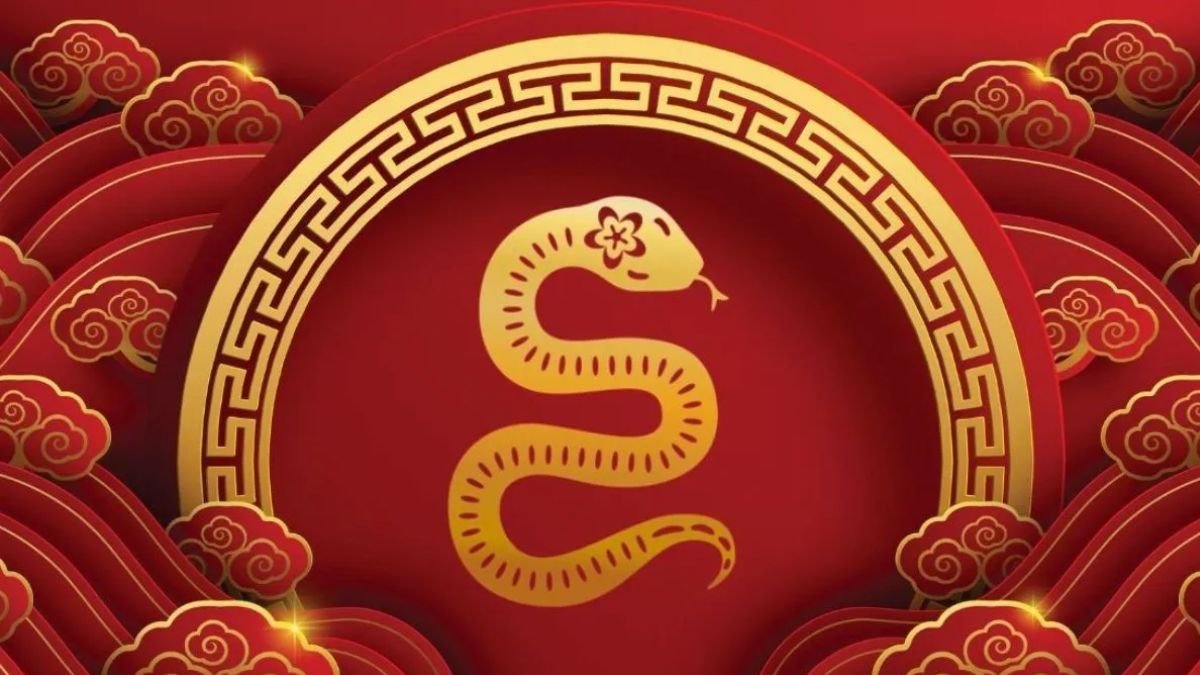 Cuáles son los signos del horóscopo chino que podrían ganar la lotería este año. Cuáles son los signos del horóscopo chino que podrían ganar la lotería este año.