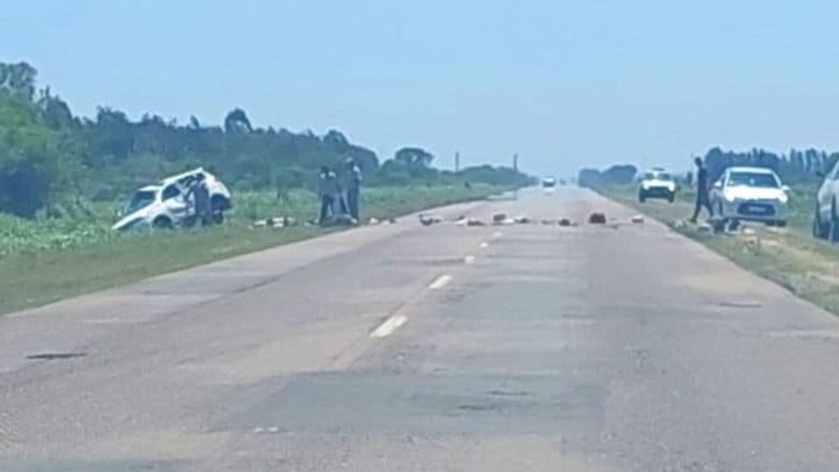 Murió una mujer de 62 años en un accidente fatal en la Ruta Nacional 11. Murió una mujer de 62 años en un accidente fatal en la Ruta Nacional 11.
