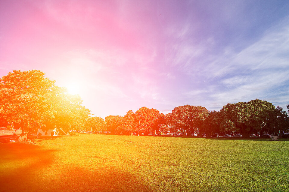 Equinoccio de primavera: ¿por qué la primavera comienza el 23 de septiembre?