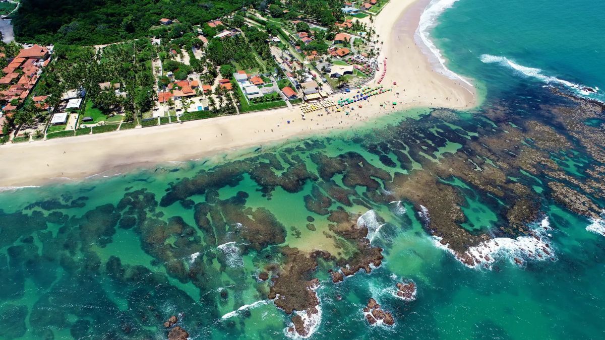 Los arrecifes de coral de Porto de Galinhas forman parte de un área de preservación ambiental donde la circulación de turistas está regulada para proteger la biodiversidad marina y los nidos de peces.