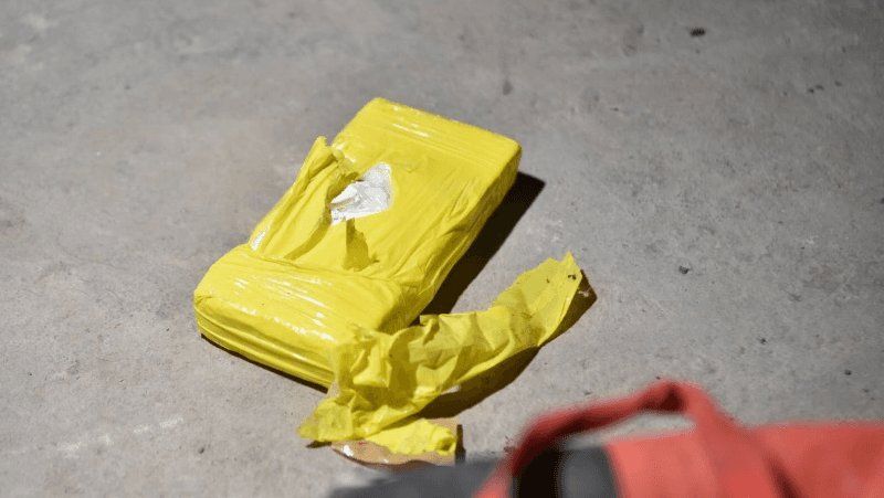 Los panes de cocaina tienen dibujada una marca de delfín.