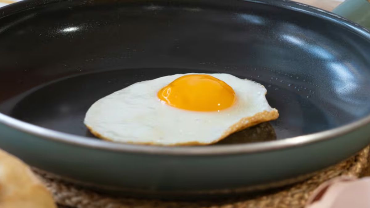 El perfil proteico de los huevos ayuda a mantener la masa muscular y la energ&iacute;a.
