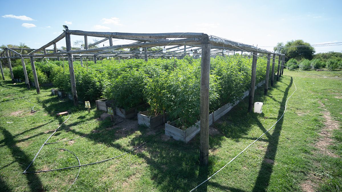 El vivero funcionaba a la vera de la ruta 1