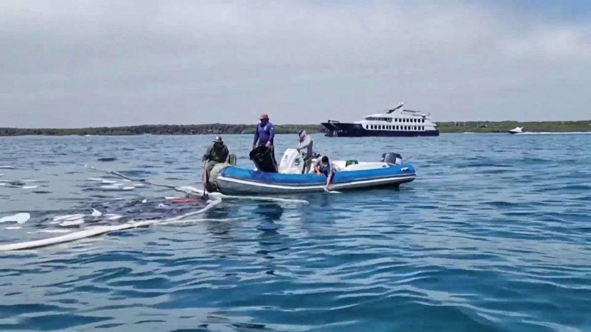 Desde un bote, guardaparques recuperaban ennegrecidos paños absorbentes que fueron arrojados sobre una mancha de combustible.
