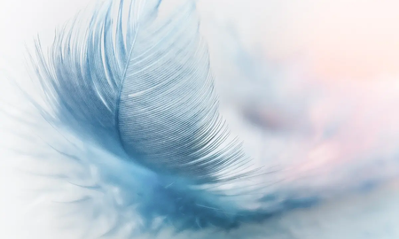 Cuál es el significado espiritual de encontrar una pluma de manera inesperada Cuál es el significado espiritual de encontrar una pluma de manera inesperada