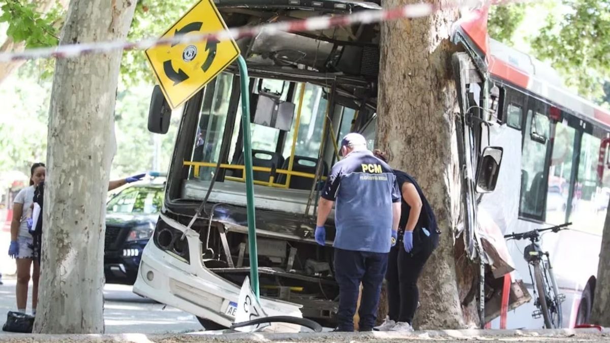 Un colectivo se estrelló contra un árbol en Mendoza tras una falla en los frenos. (Foto: Gentileza Diario Uno - Nicolás Ríos)
