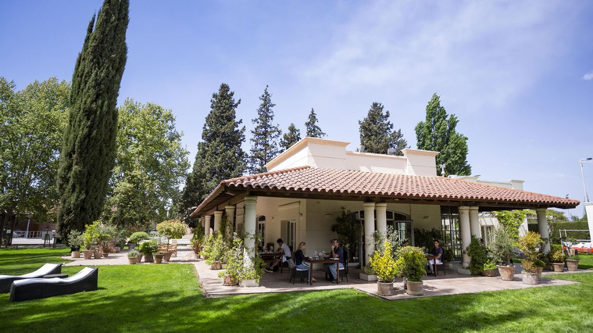 Terrazas de los Andes fue fundada por Chandon, una filial de Moët Hennessy Louis Vuitton, y se consolidó como una bodega argentina de gran renombre. Terrazas de los Andes fue fundada por Chandon, una filial de Moët Hennessy Louis Vuitton, y se consolidó como una bodega argentina de gran renombre.