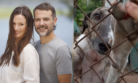 Matilda, la perra de Paula Cháves, encuentra un nuevo hogar: quién es la famosa que la adopto Matilda, la perra de Paula Cháves, encuentra un nuevo hogar: quién es la famosa que la adopto