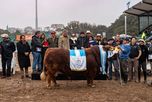 Limangus dominó Palermo: logró la mejor res de la Expo y se destacó en las juras de reproductores