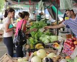 alimentos de cercania, la llave para garantizar la provision en las grandes ciudades