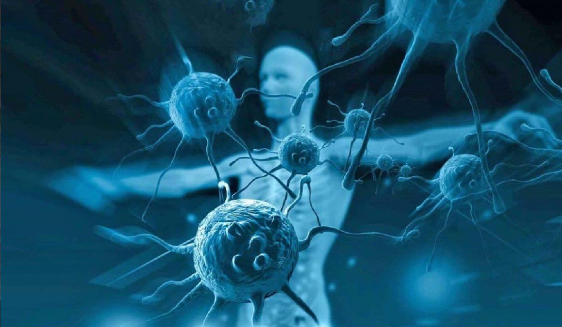 Cómo benefician los frutos secos la salud del sistema inmunitario