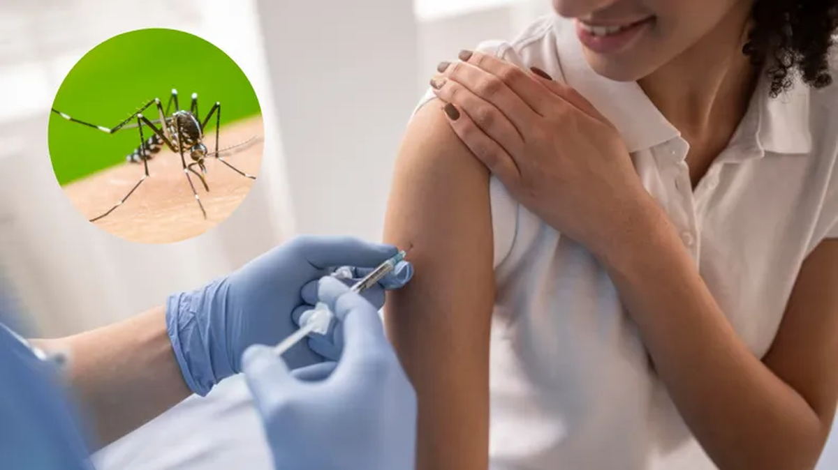 ANMAT aprobó la vacuna contra el dengue en abril pasado y había adelantado que llegaría al país a fin de este año. ANMAT aprobó la vacuna contra el dengue en abril pasado y había adelantado que llegaría al país a fin de este año.