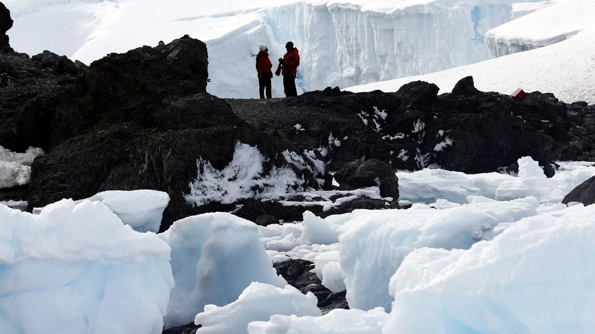 Científicos de Suecia realizaron un impactante descubrimiento en la Antártida. Científicos de Suecia realizaron un impactante descubrimiento en la Antártida.
